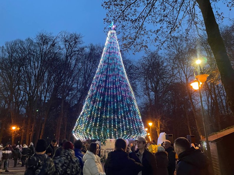 Ялинка в Івано-Франківську