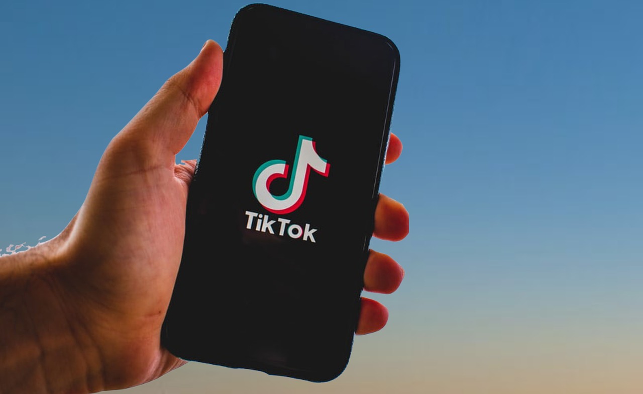 Естонія закликає Європу піти за прикладом США та заборонити TikTok