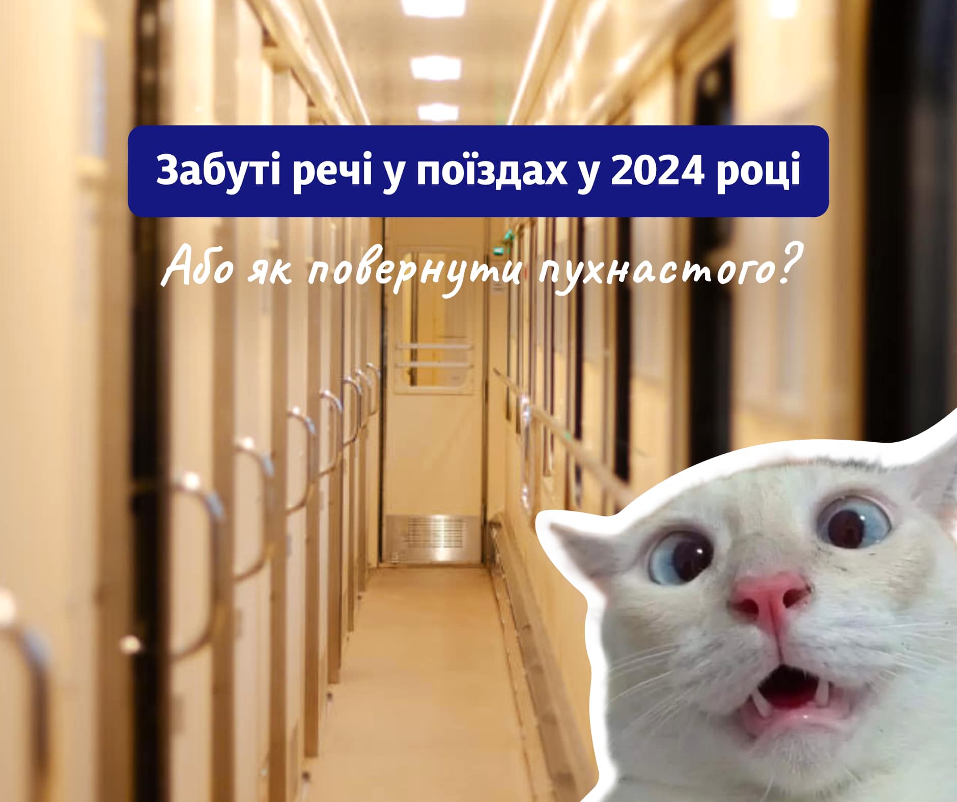 Відро яєць, коробка з метеликами та $6 тисяч: що забували українці у потягах в 2024 році