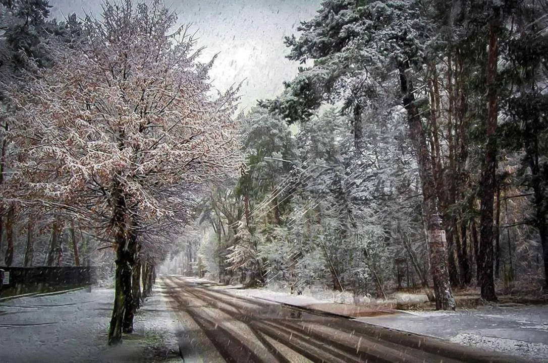 Сніг та до -11ºC: які регіони 5 лютого накриють опади