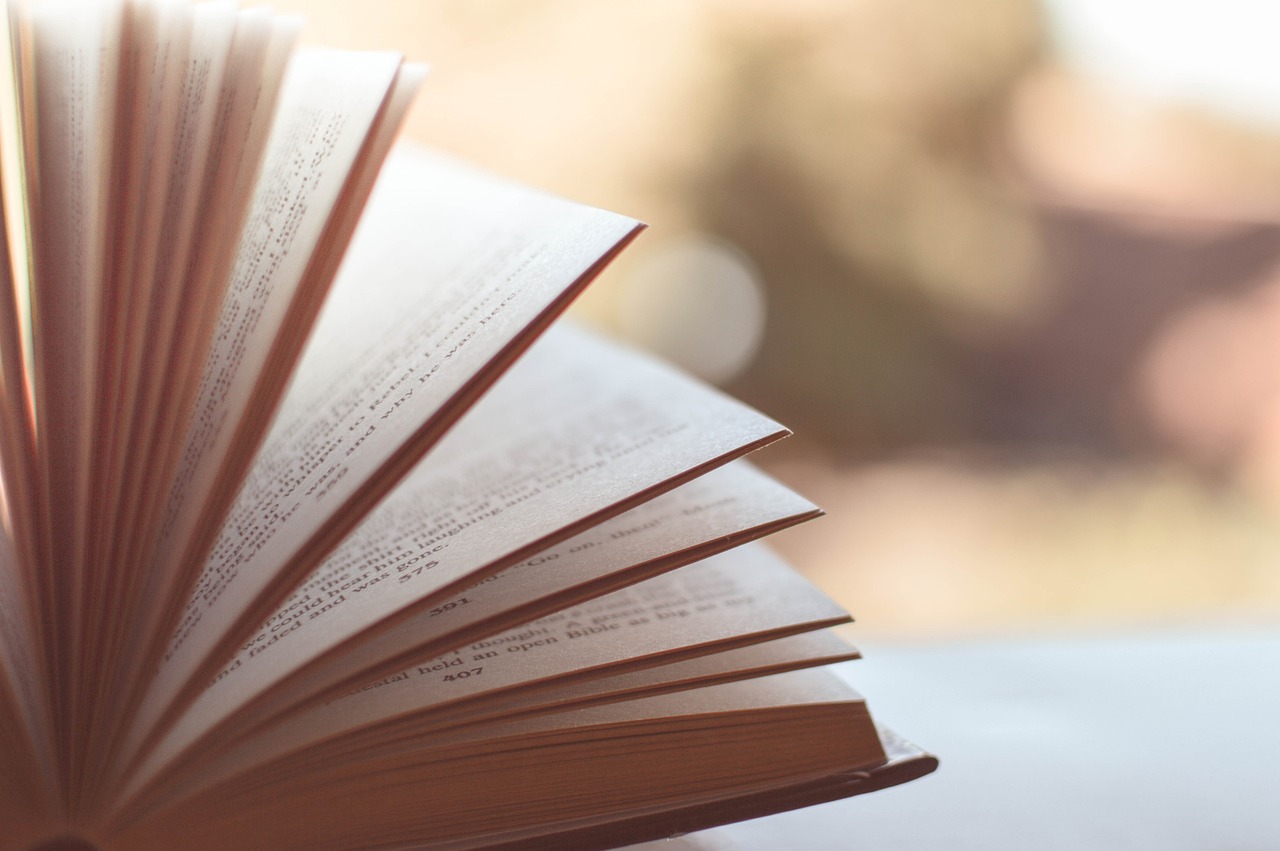 Її неможливо прочитати: вийшла друком найдовша книга у світі, яка має понад 21 тисячу сторінок (фото)