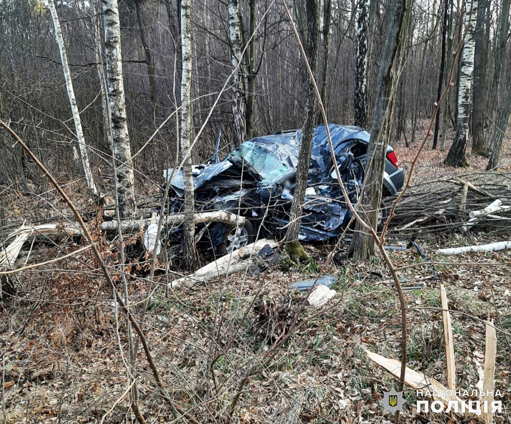 Автівка заїхала у кювет та врізалася в дерево: на Житомирщині сталася смертельна ДТП (фото)