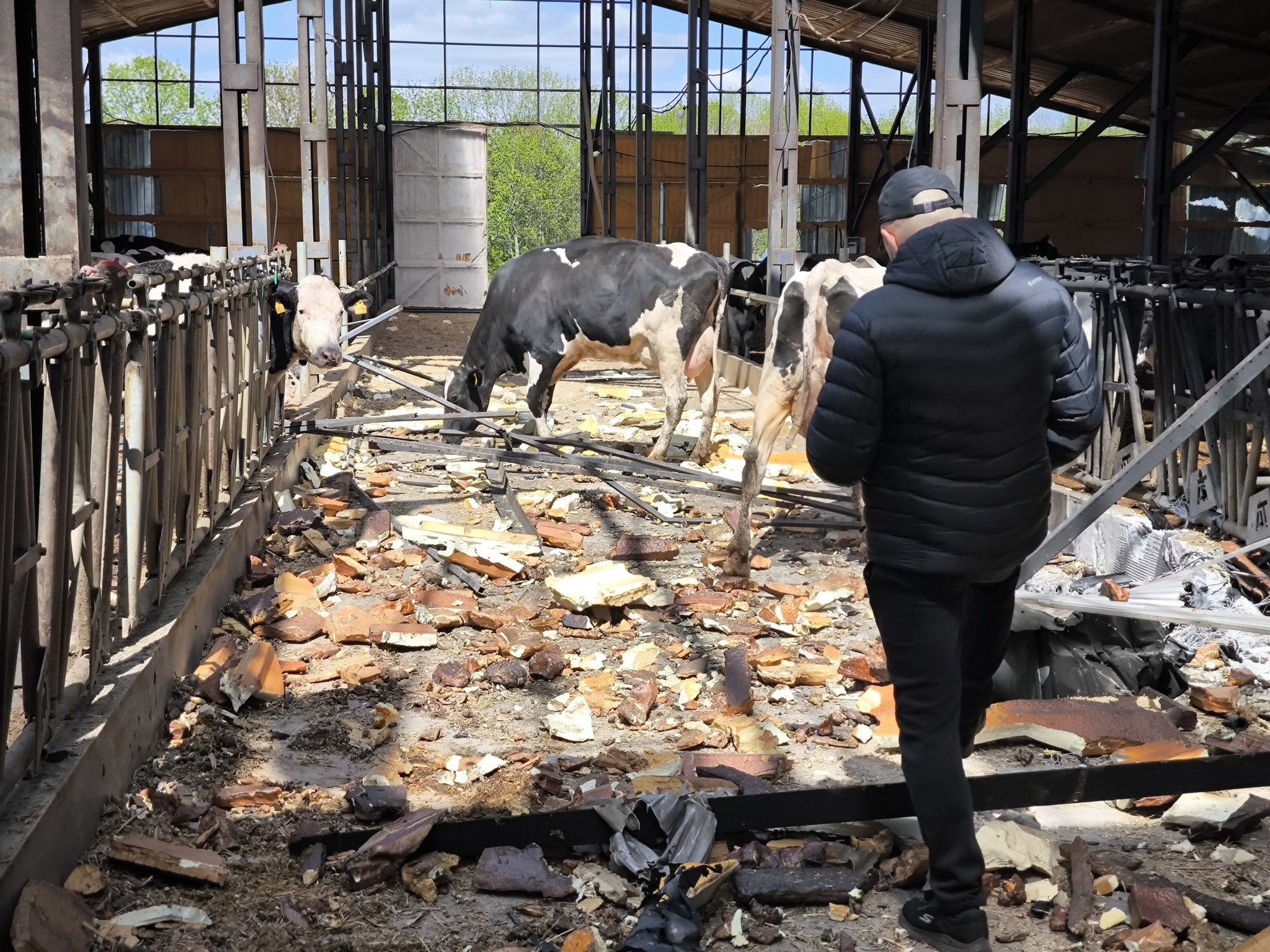 На Харківщині рашисти дронами атакували агропідприємство: є руйнування, загинули понад 100 тварини (фото)