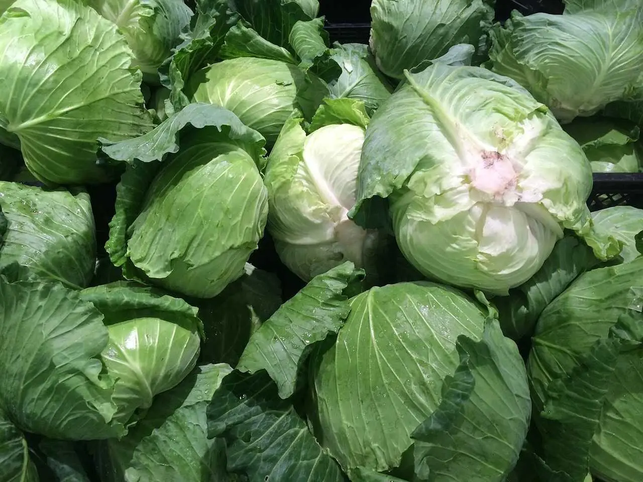 В Україні стрімко падає в ціні важливий продукт із борщового набору