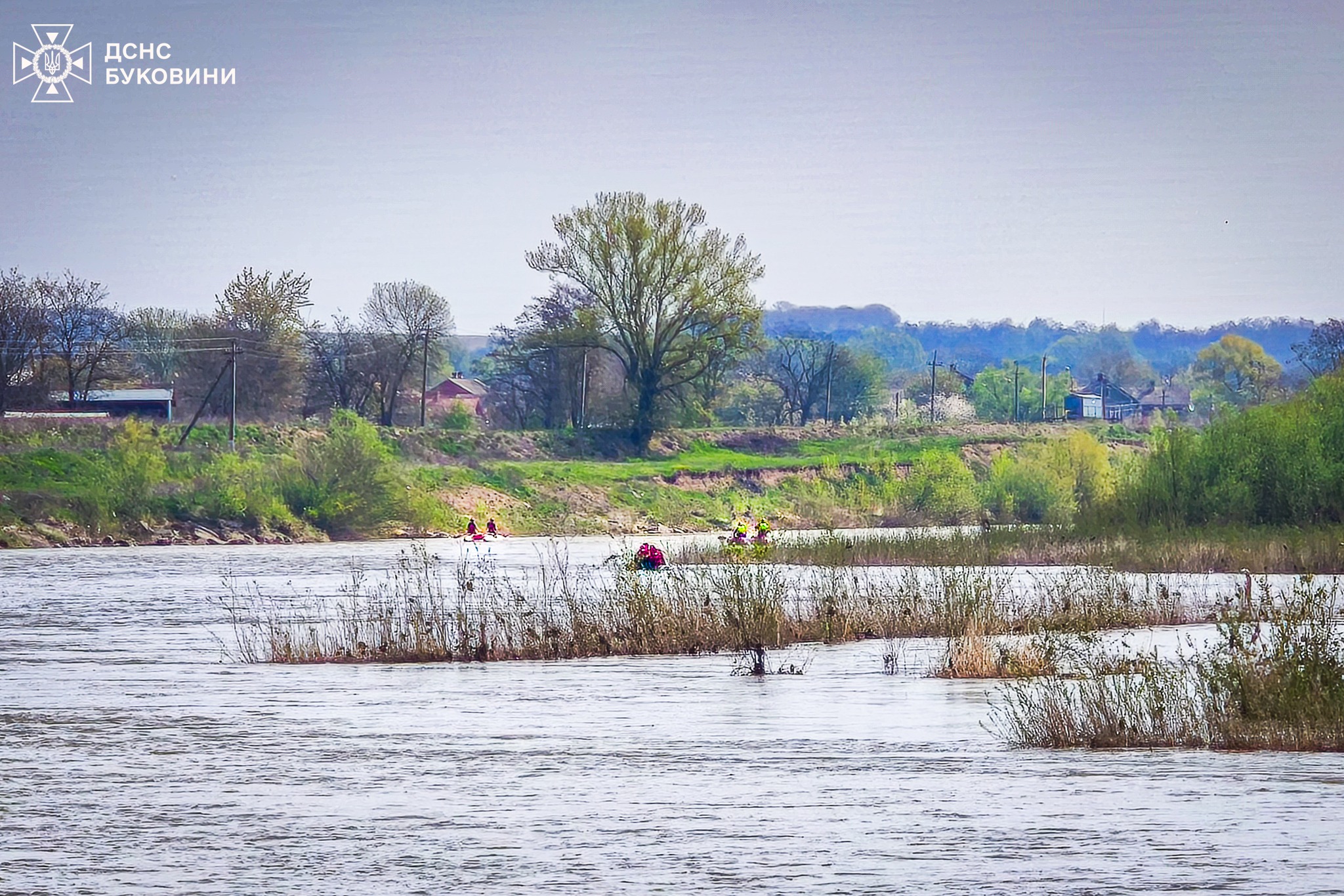 На Буковині знайшли мертвою 13-річну школярку (фото)