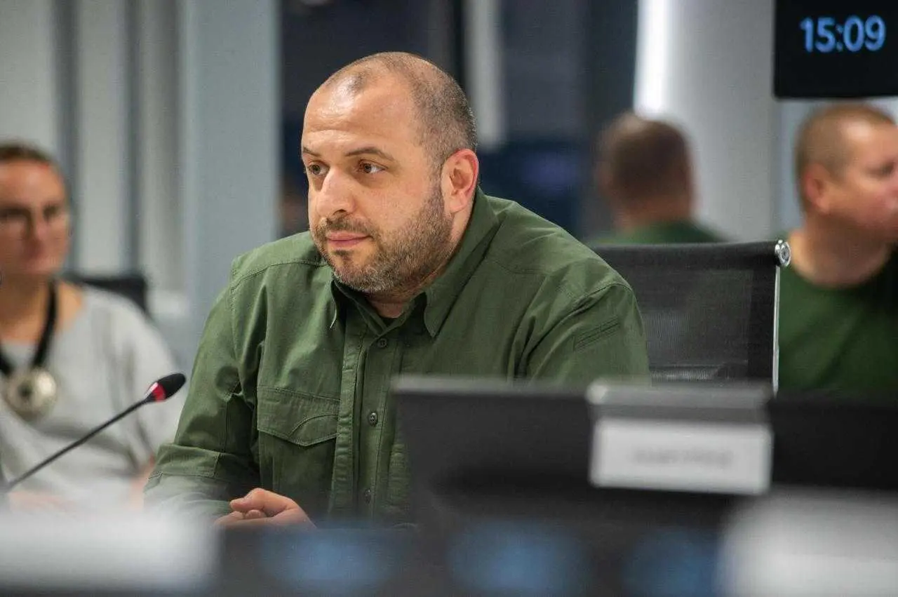 Умєров розповів, яку суму залучила світова IT-коаліція для підтримки України