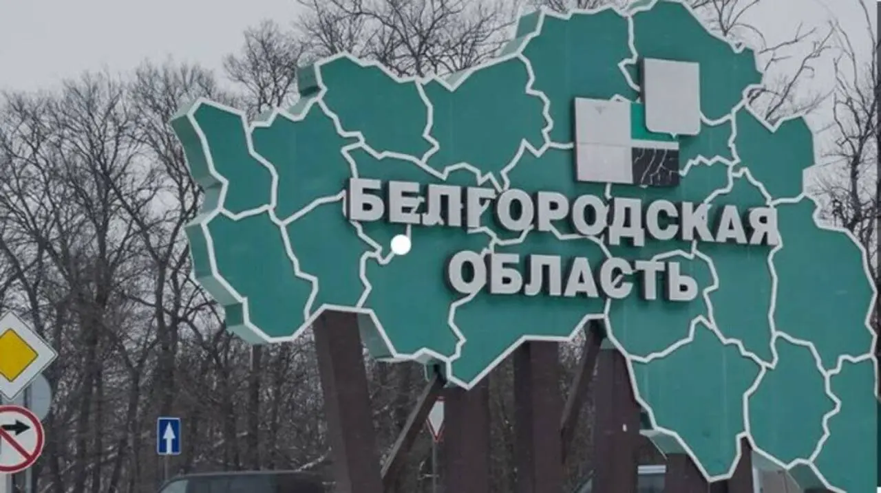 Мешканці Бєлгородської області навмисно підставляють свої автівки під дрони заради компенсації