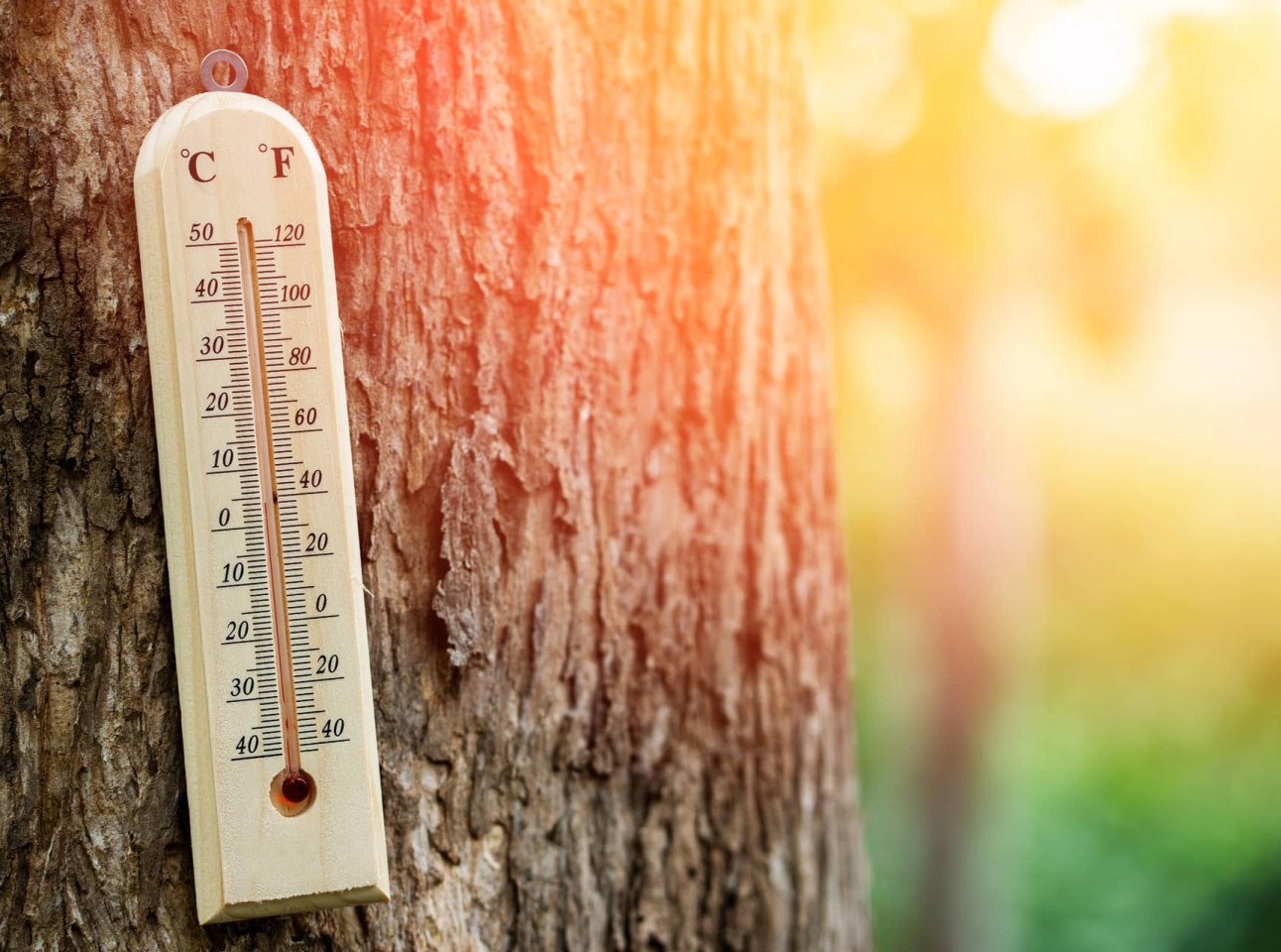 Прогріє до +24°С: де сьогодні відчутно потепліє