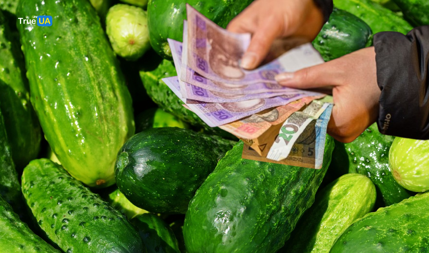 В Україні поповзли вгору ціни на огірки: скільки коштує кілограм