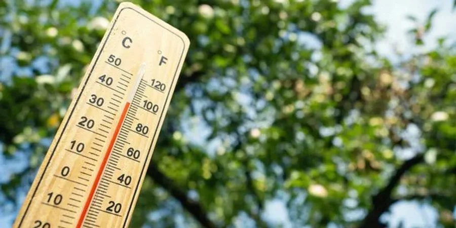 Спека та грози: де 17 червня прогріє до +30°C