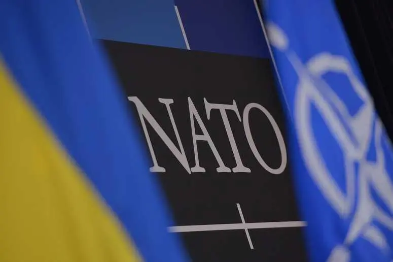 Politico: НАТО скасувало засідання щодо України на саміті в Гаазі