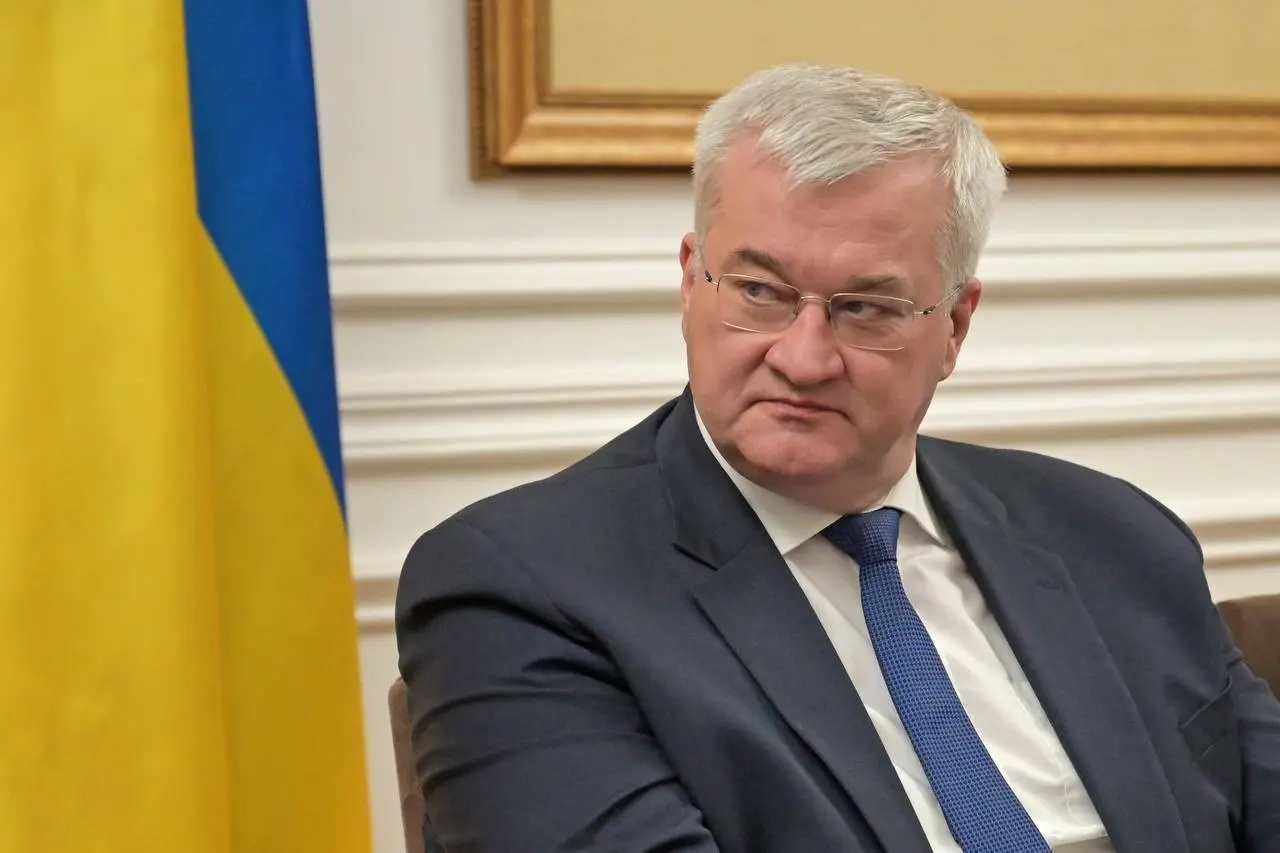 Сибіга пояснив, чого очікує Україна 20 червня від термінового засідання Радбезу ООН