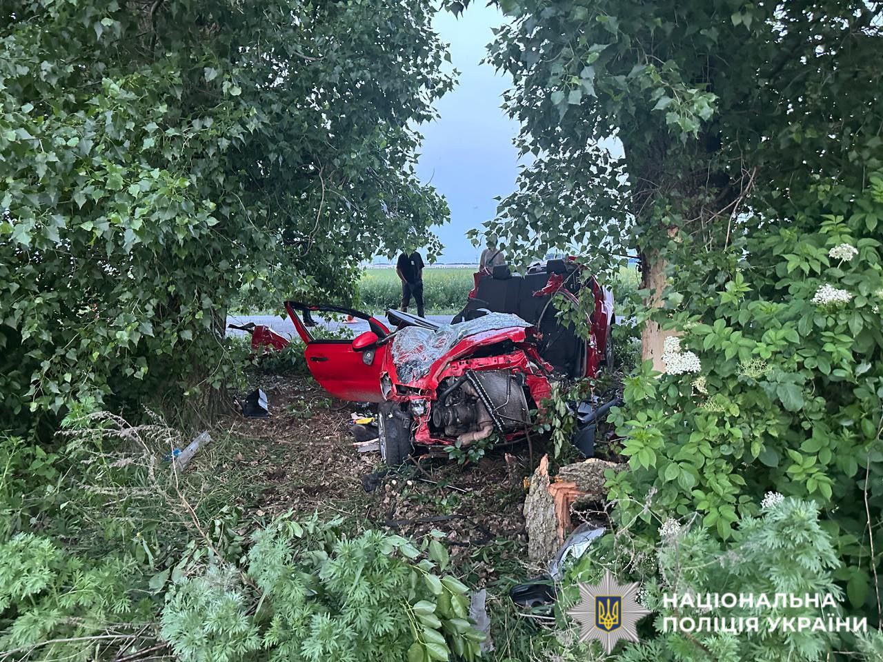 Автівка влетіла у дерево: на Київщині у моторошній ДТП загинули троє людей (фото)