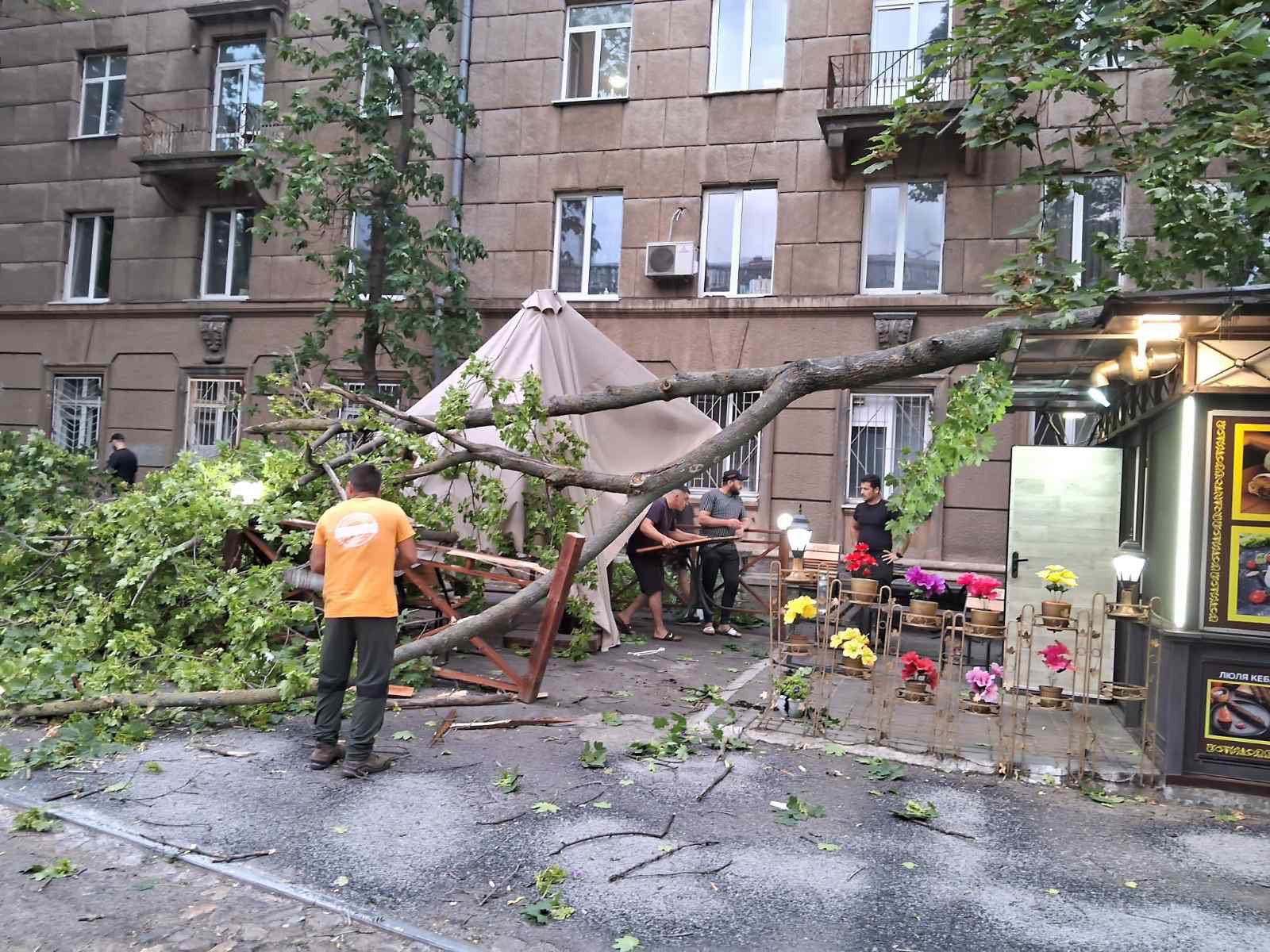 Повалені дерева та розтрощені автівки: на Одещині негода наробила лиха (фото)