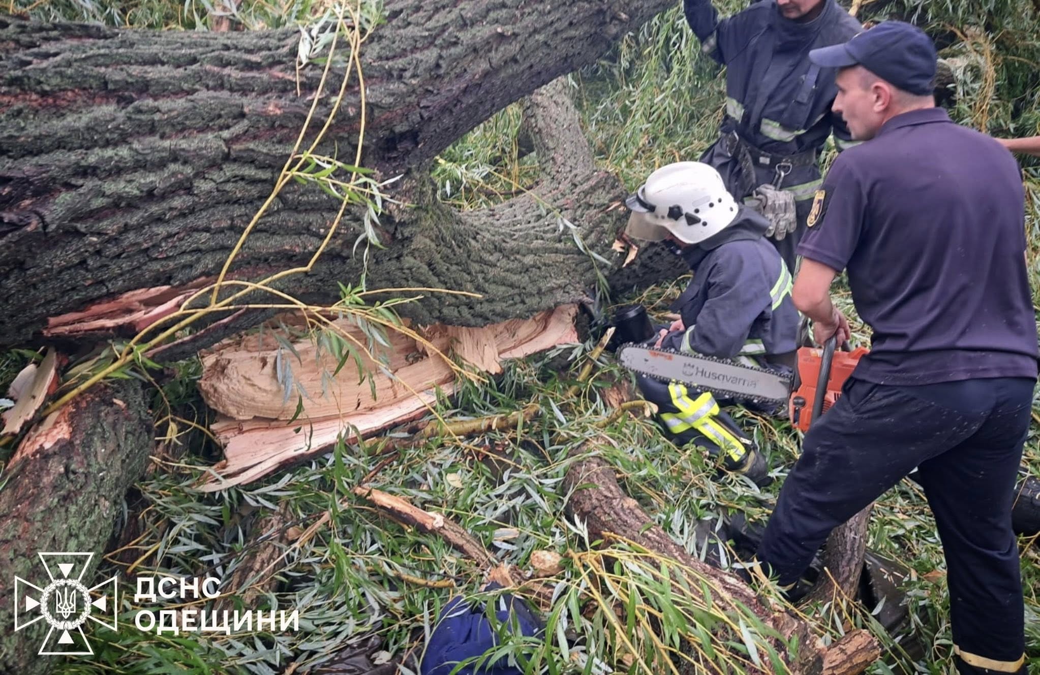 На Одещині під час відпочинку на підлітків впало дерево: є загиблий та поранені (фото)