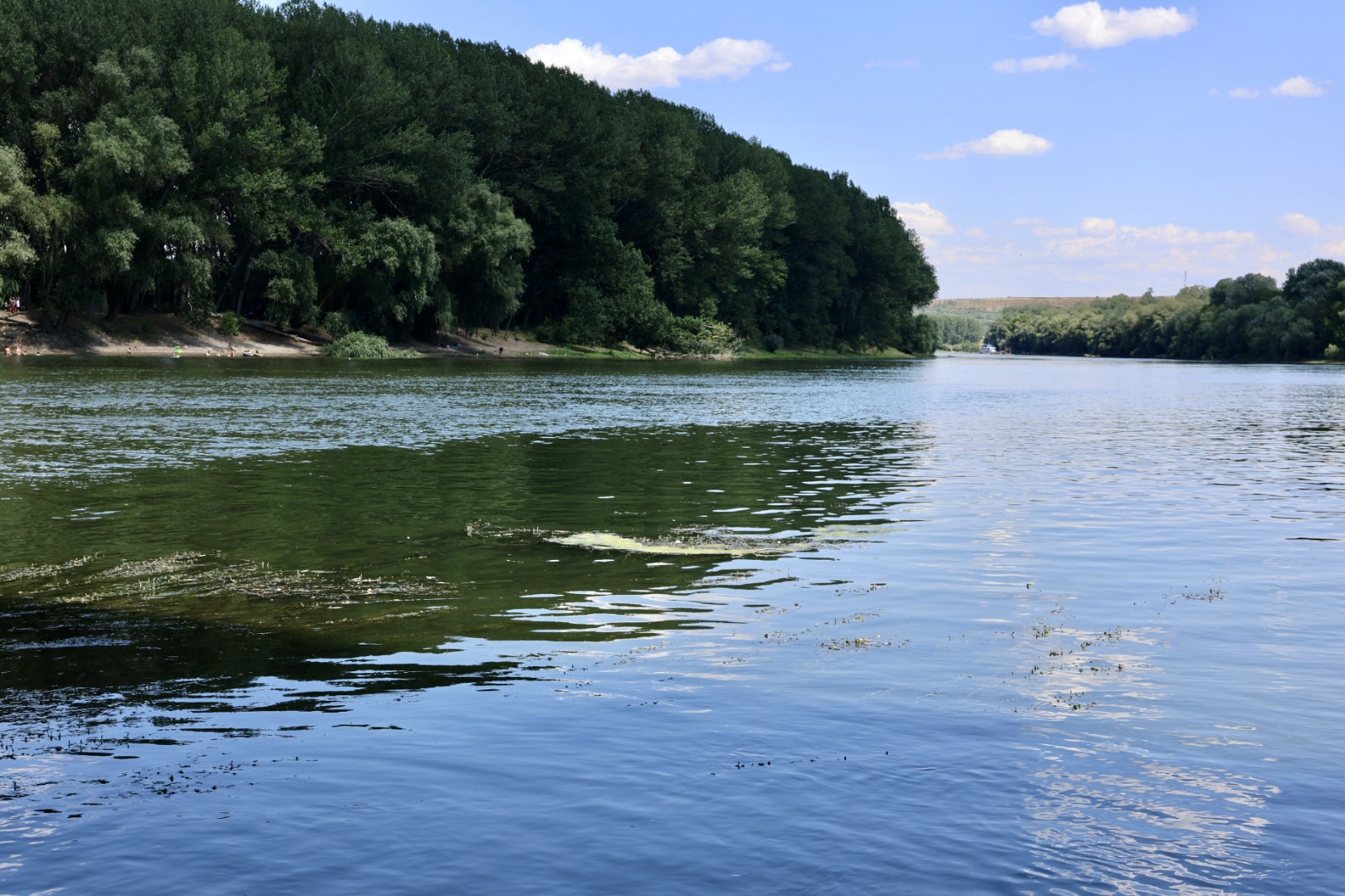 Молдова попросила Україну допомогти стабілізувати рівень води в Дністрі