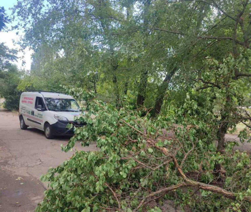 Повалені дерева та пошкоджені електромережі: в Запоріжжі негода наробила лиха (фото)