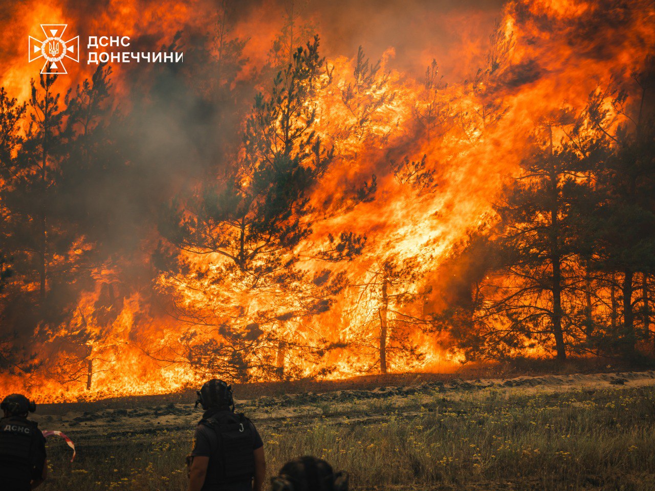 На Донеччині вирує масштабна лісова пожежа: горить понад 1000 гектарів (фото)