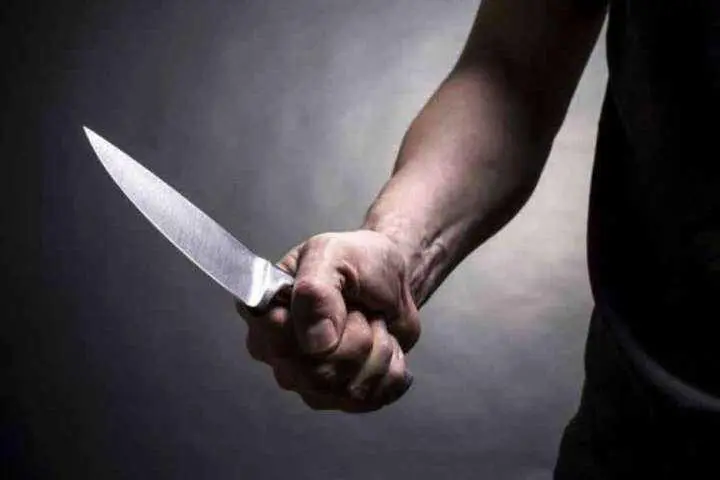 Сім ударів ножем: у Львові п'яний чоловік під час застілля вбив товариша (фото)