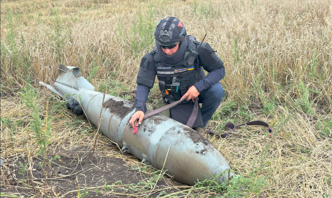 На Харківщині під час косіння трави виявили нездетоновану авіабомбу (фото)