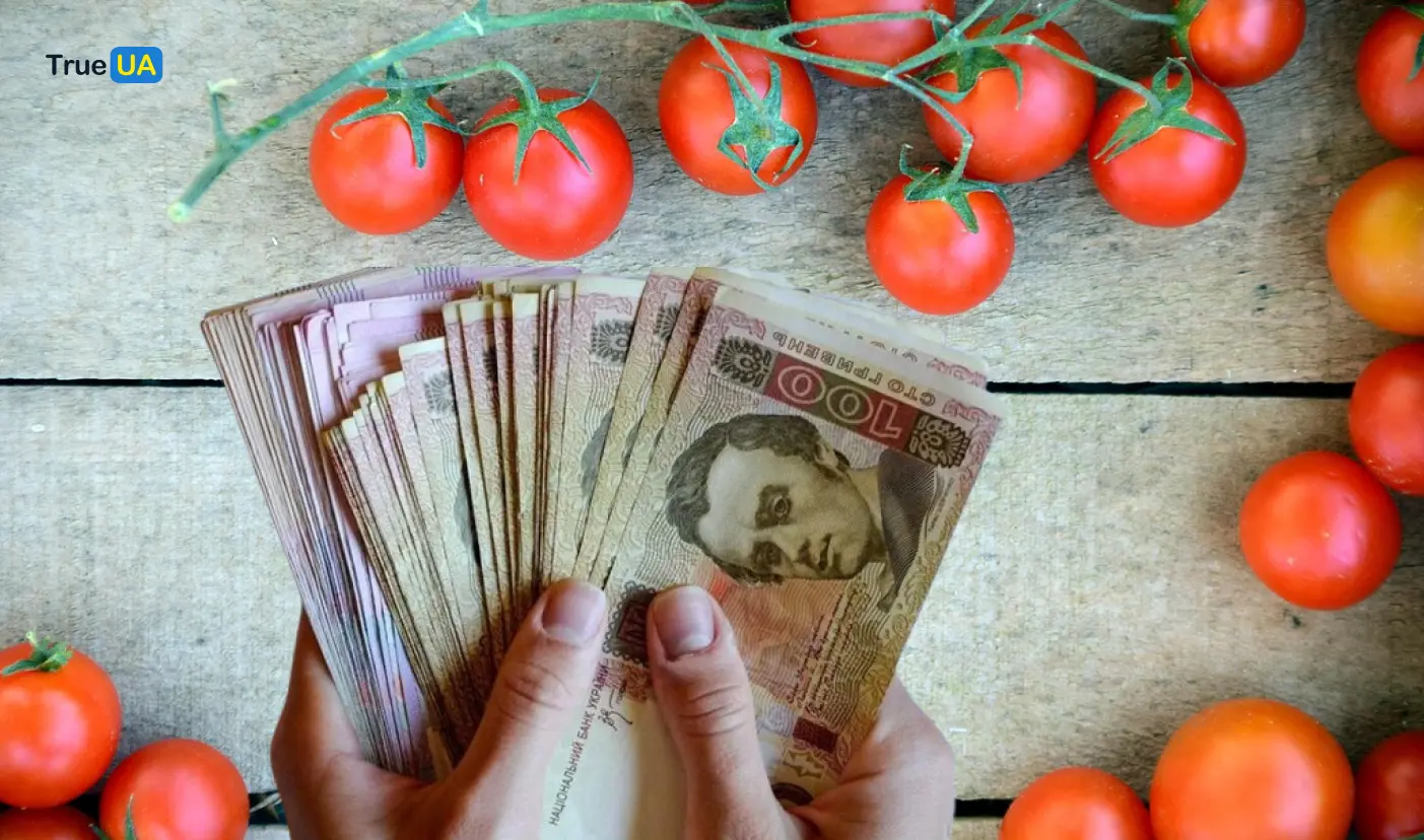 В Україні стрімко падають ціни на помідори: скільки коштує кілограм