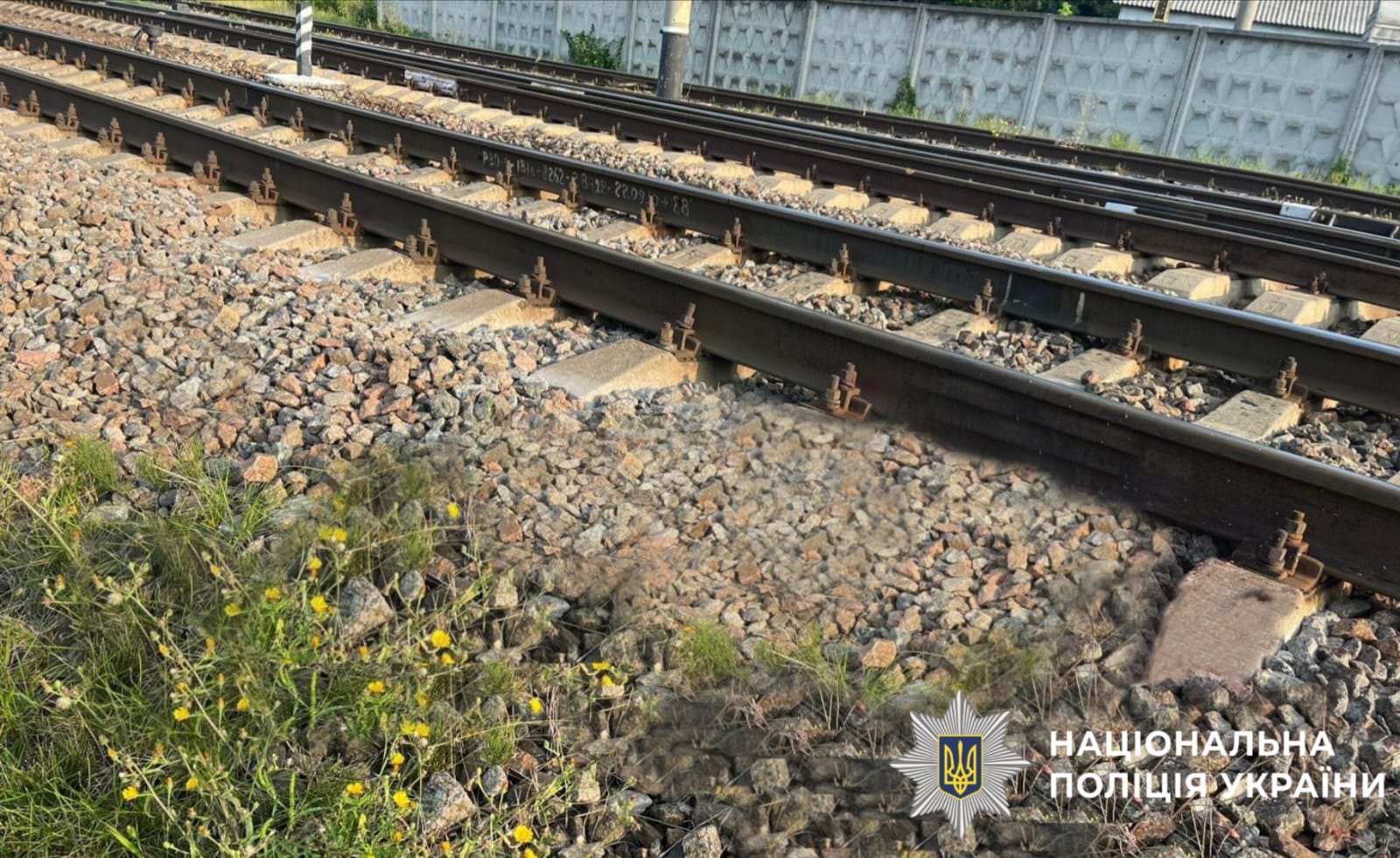 У Борисполі під колесами потягу загинула 78-річна жінка: що відомо про трагедію