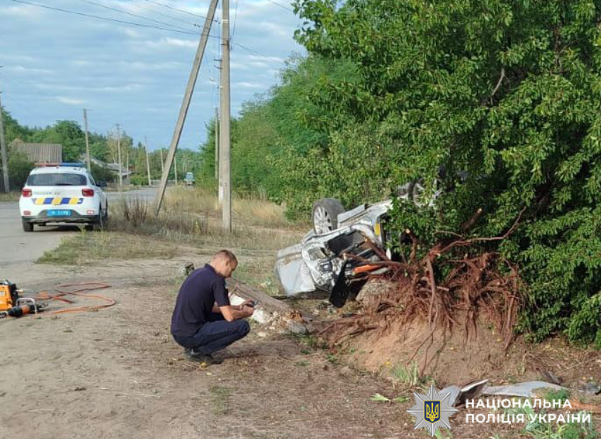 На Одещині п’яний водій влетів у дерево: є жертва та постраждалі (фото)