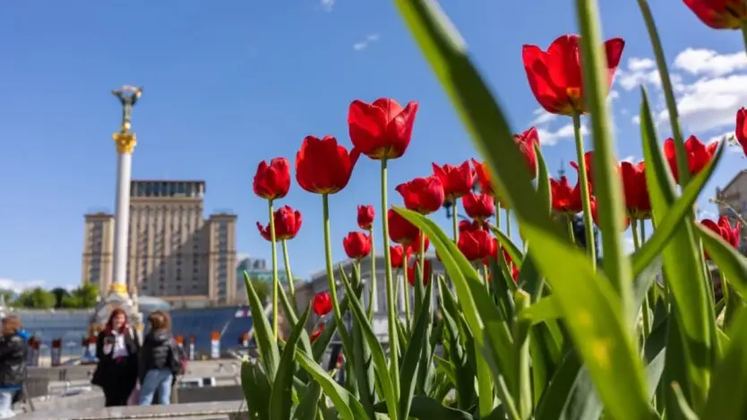 Над Україною запанував антициклон: чого очікувати від погоди 8 серпня