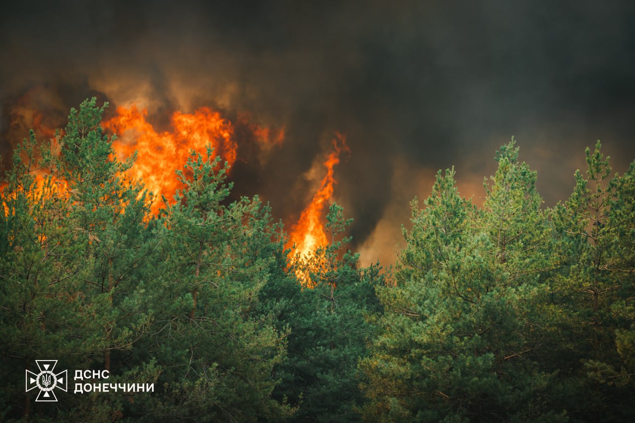 Масштабна лісова пожежа на Донеччині охопила вісім окремих локацій (фото)