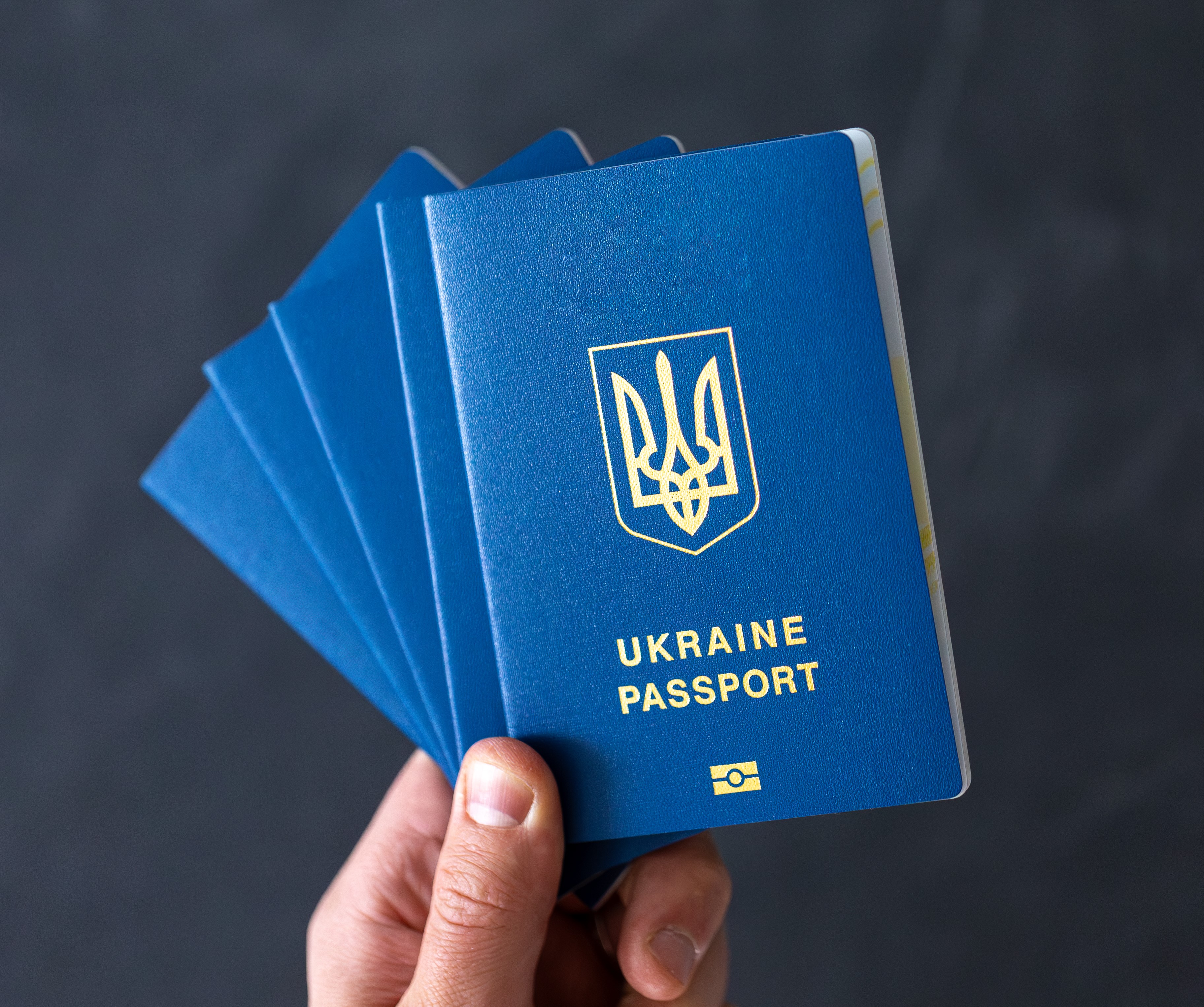 Закон про множинне громадянство: з якими державами Україна першочергово укладатиме угоди