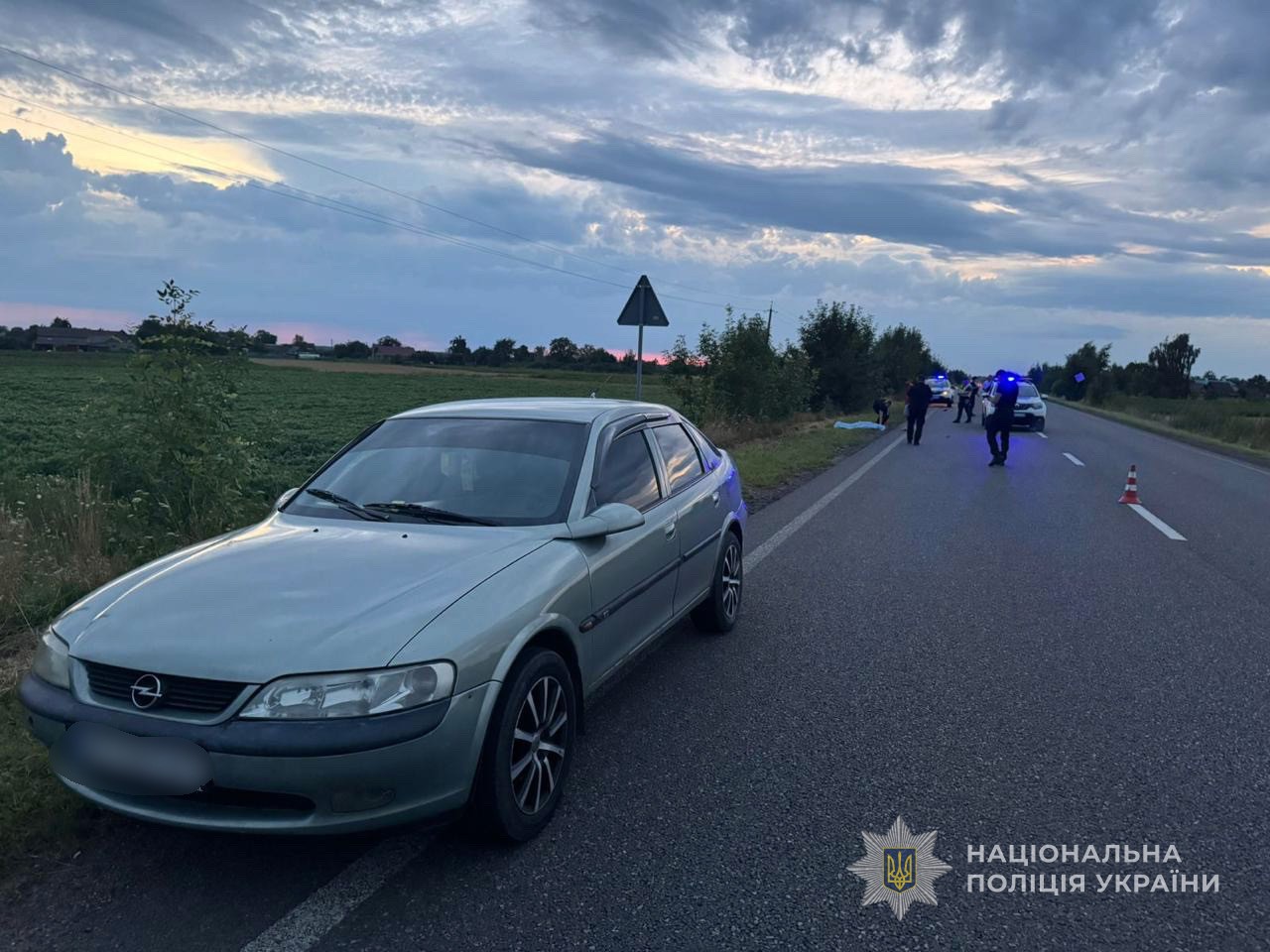 На Волині жінка вистрибнула з авто на ходу та потрапила під колеса