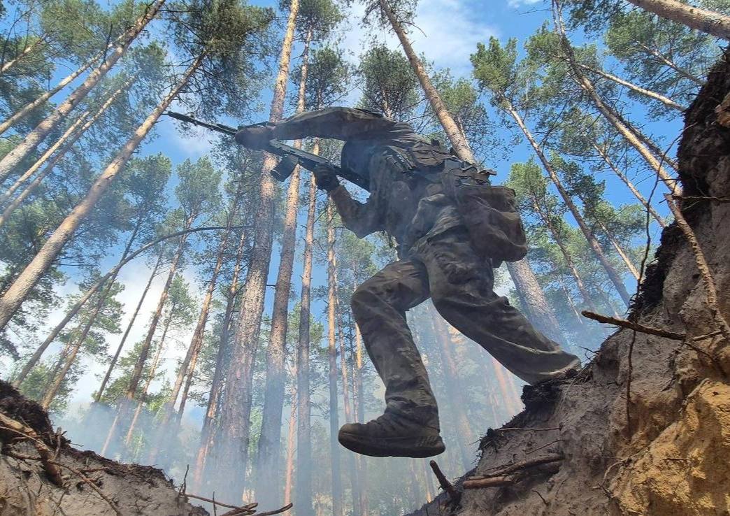ЗСУ звільнили ще один населений пункт на Донеччині (відео)