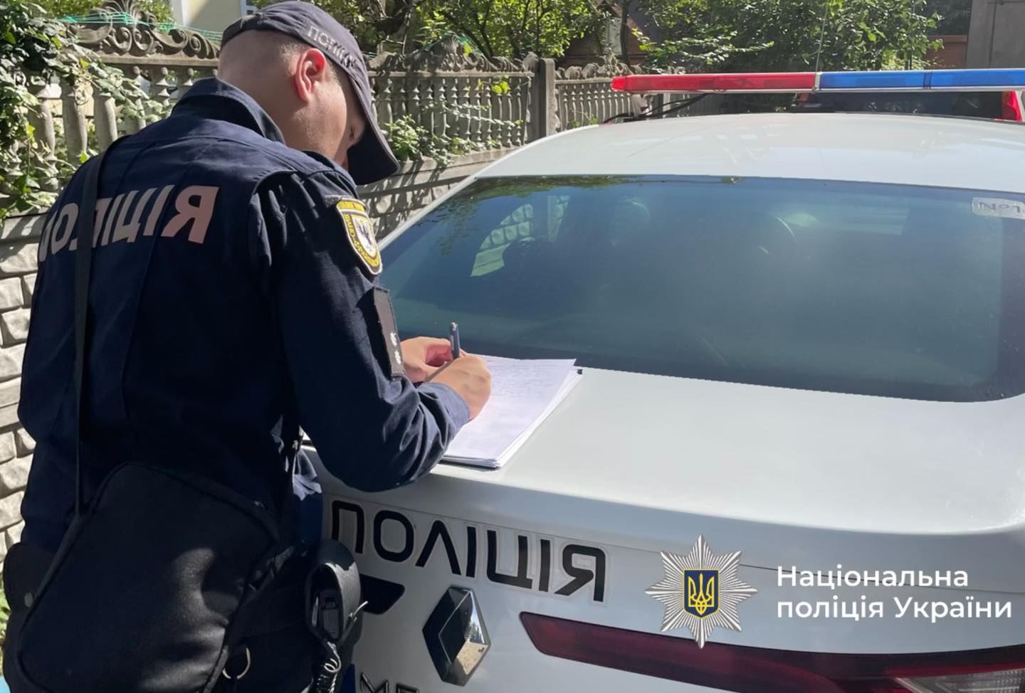 Загинули десятки тварин: на Прикарпатті водій протаранив отару овець і втік з місця аварії