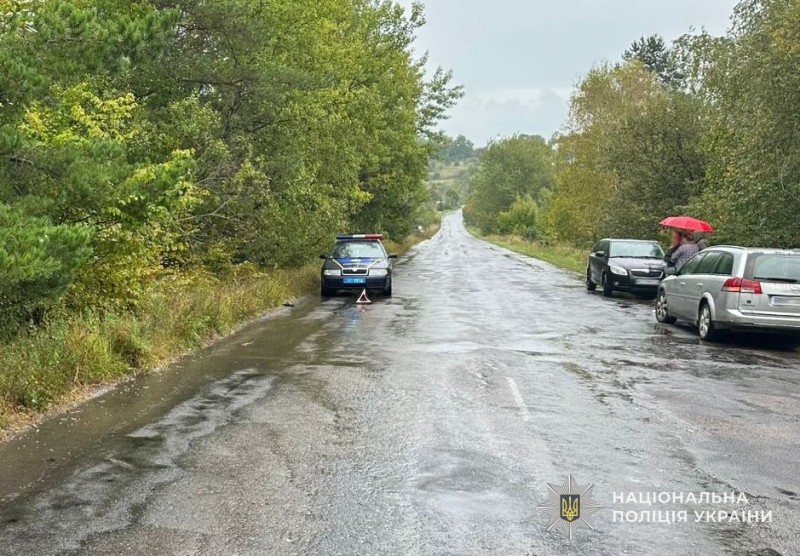 На Львівщині водій збив людину на смерть й втік: деталі моторошної ДТП 