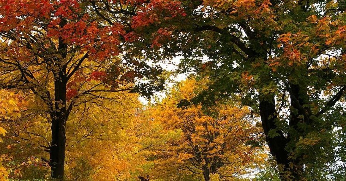 Потепління не за горами: синоптик розповіла про погоду на 28 жовтня та назвала дату підвищення температури