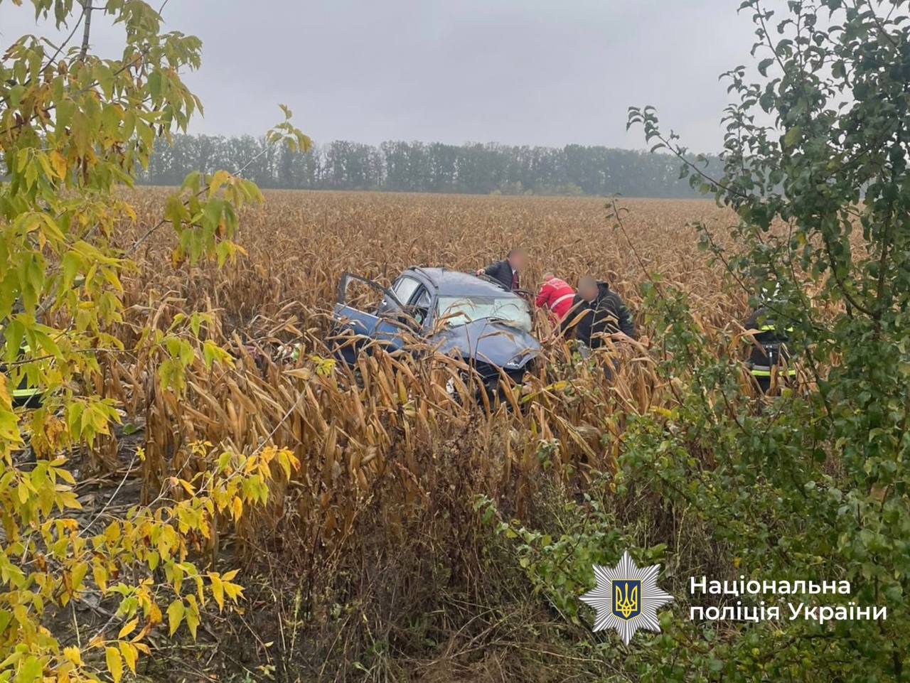Моторошна ДТП на Вінниччині: через зіткнення автівок загинули троє людей (фото)