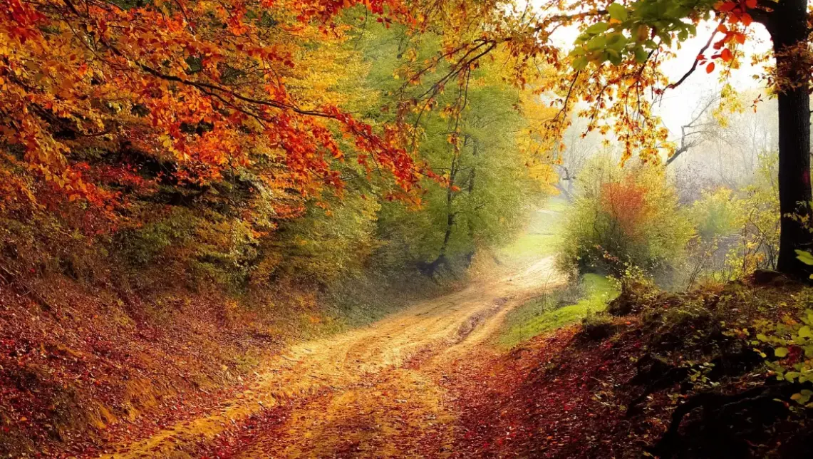 На погоду впливатиме антициклон: синоптики потішили прогнозом на вихідні