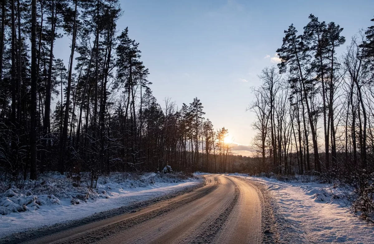 Поривчастий вітер та до +12ºC: яких сюрпризів очікувати від погоди 17 грудня