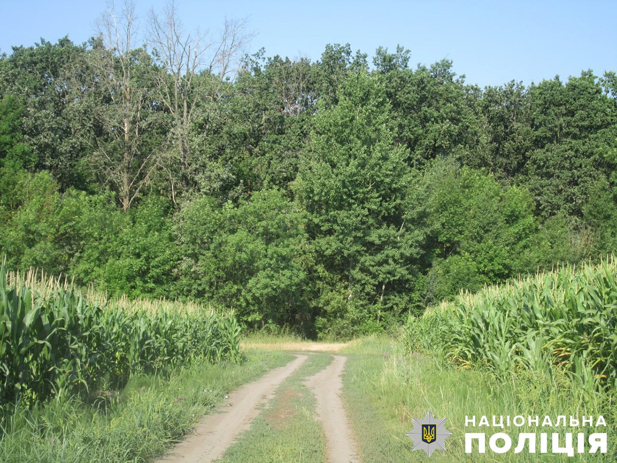 Викрадення людини на Житомирщині