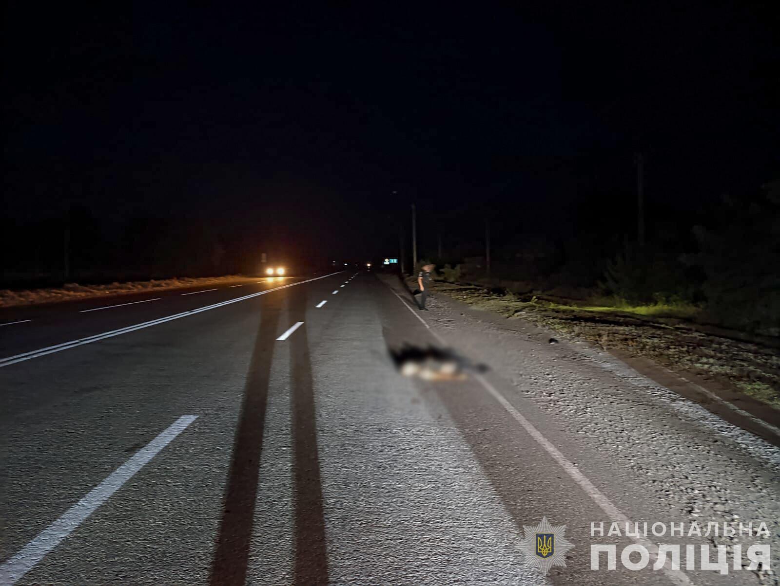 На Запоріжжі водій збив військового та втік з місця ДТП