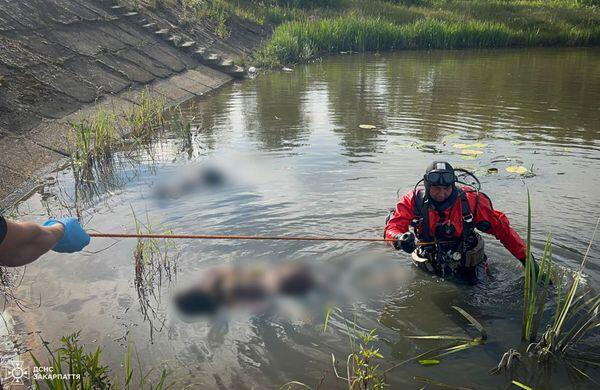 У Закарпатській області потонули два підлітки