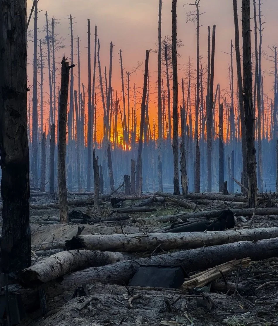 Фото випаленого Серебрянський лісу 