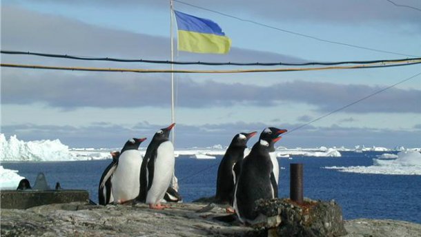 пінгвіни на станції вернадського