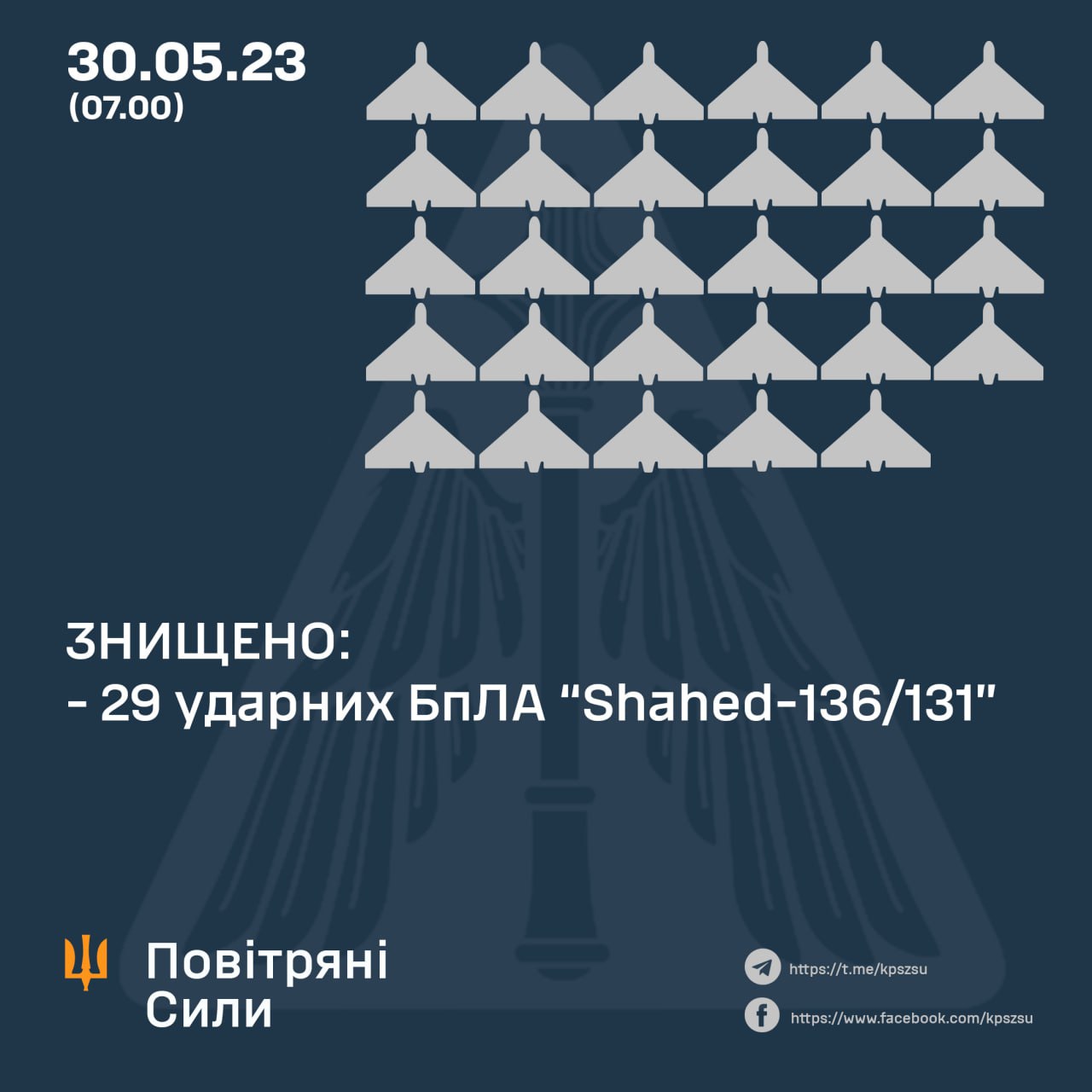 Знищені російські безпілотники вночі 30 травня