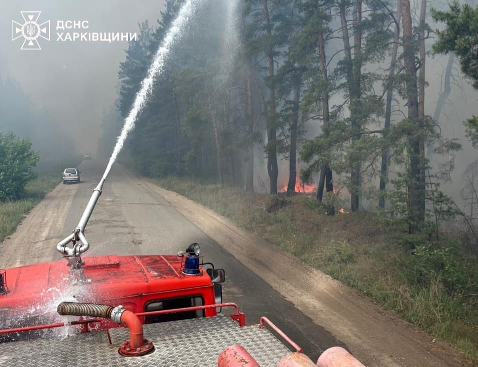 На Харківщині спалахнули масові лісові пожежі