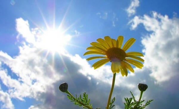 Синоптик розповіла про погоду на вихідних: буде тепло, але є нюанс