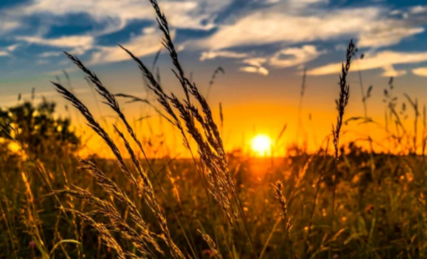 Синоптики прогнозують до +40°C на вихідні: де можна врятуватися від спеки