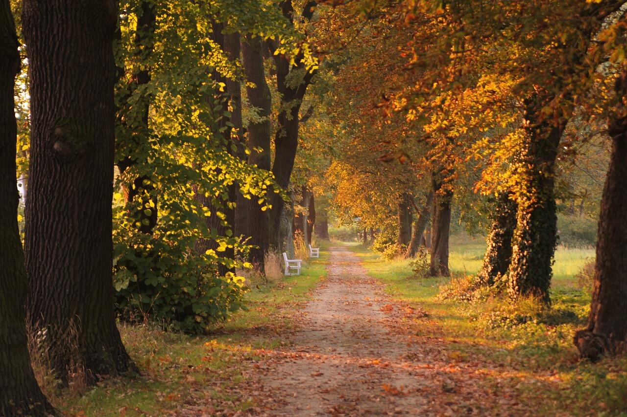 Де у четвер прогріє до +28°C: прогноз погоди від Укргідрометцентру