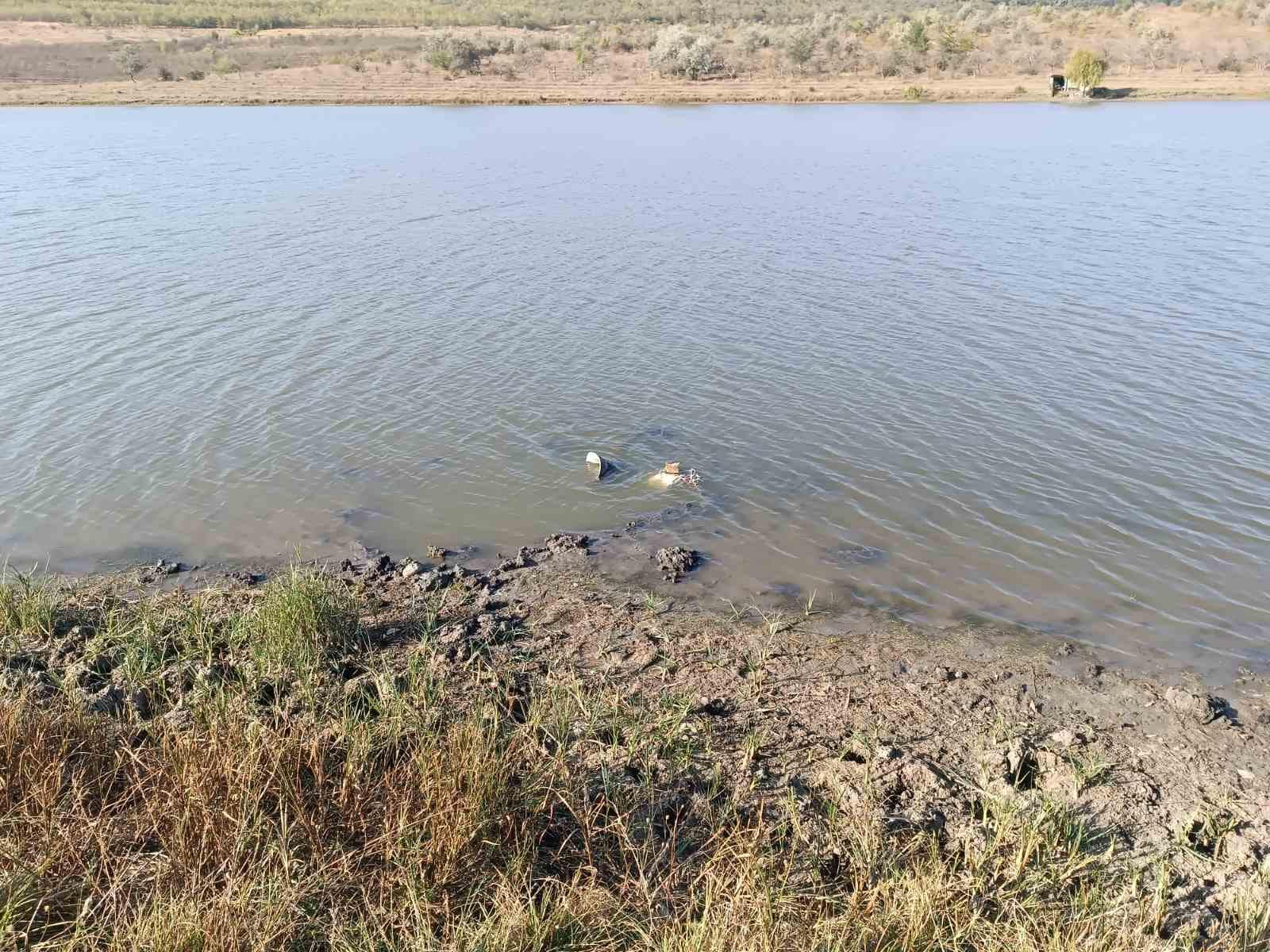 У Молдові в озері знайшли уламки ракети: з'явилися фото небезпечної знахідки