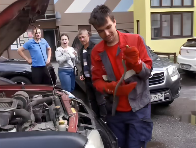 У Києві під капотом авто чоловік знайшов гадюку, яка приїхала зі самого Львова